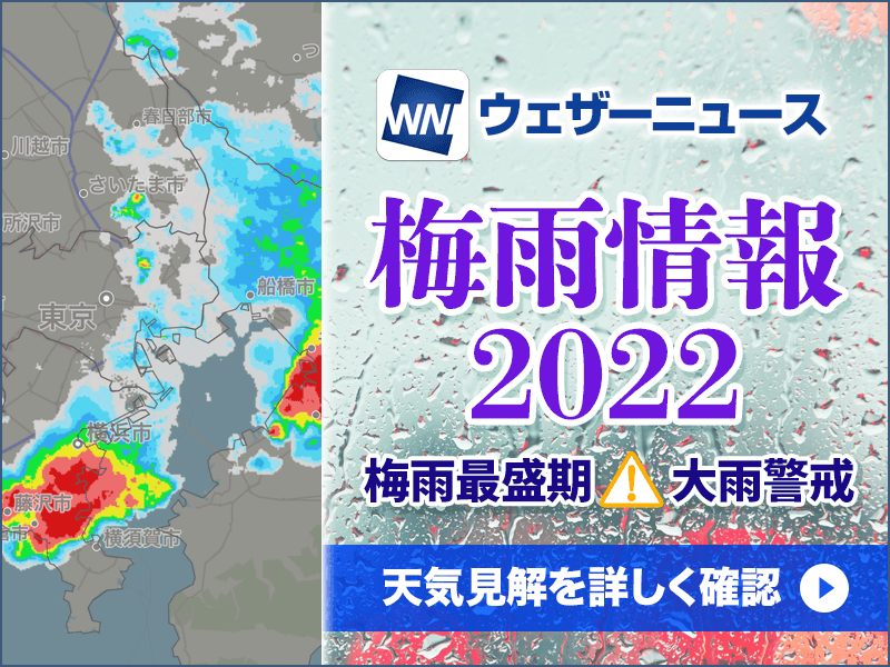 ウェザーニュース　梅雨情報2022　梅雨最盛期 大雨警戒　天気見解を詳しく確認